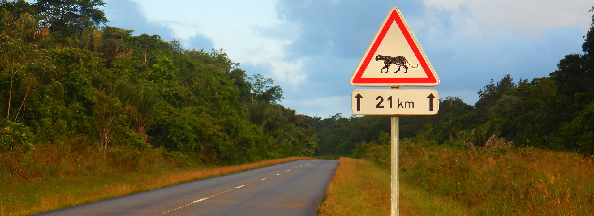 Traversée de Jaguar